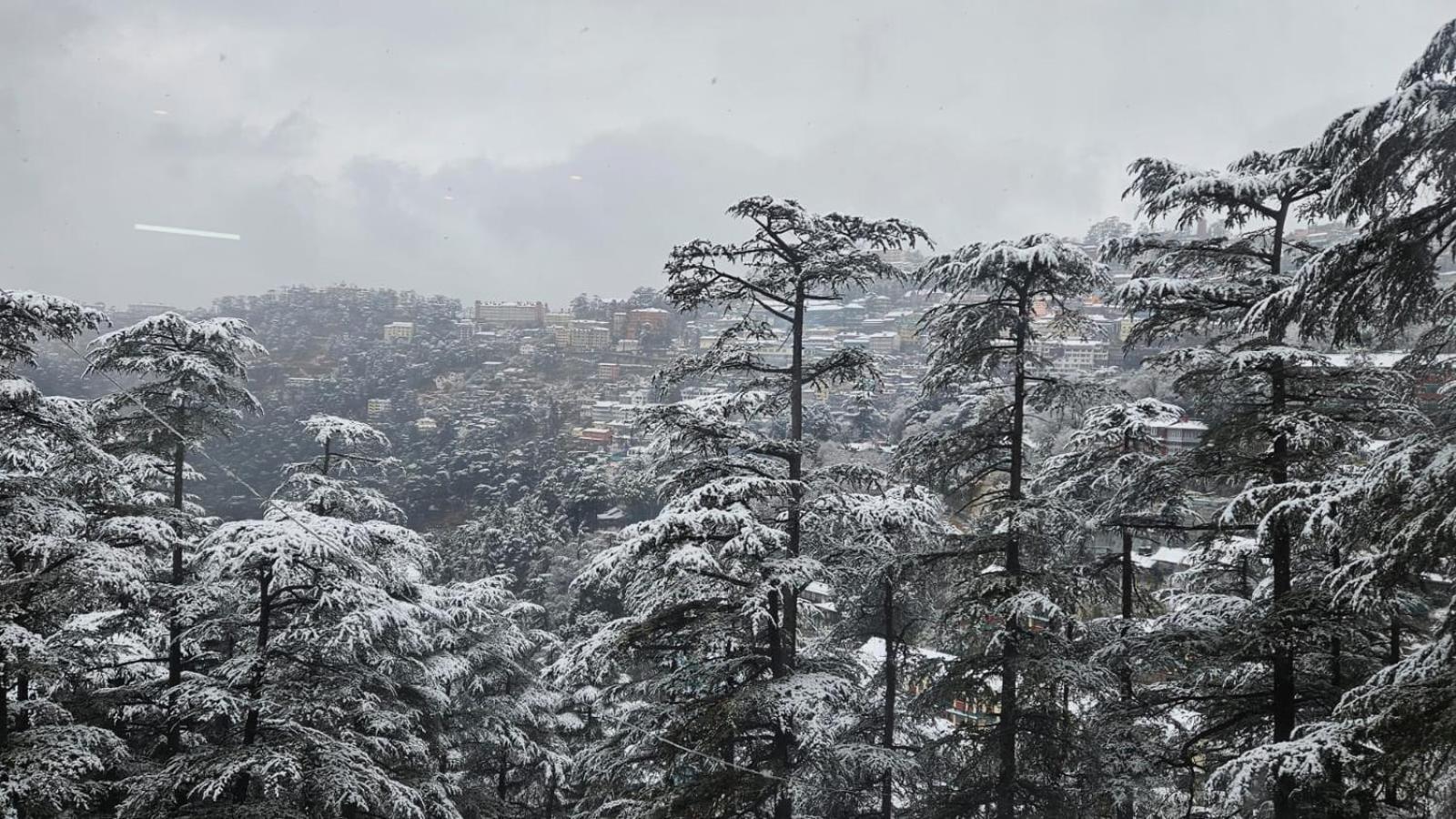 Mountain Zest- Simla Royale Near Mall Road Free Pickup From Railway Station Simla Exterior foto
